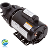 Cal Spas Ultimax Spa Pump - 2HP, 230 Volt, 56 Frame