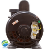 Cal Spas Ultimax Spa Pump - 2HP, 230 Volt, 56 Frame