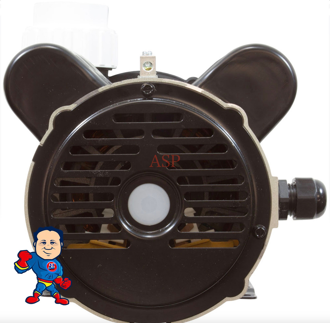 Spa Hot Tub 48Fr Lingxiao LX Pump 2