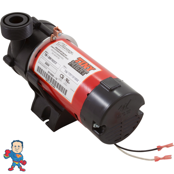 Pump, Circulation, Waterway Tiny Might, 1/16hp,230v, 1" x 1"