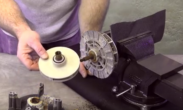 Spa Hot Tub Waterway Executive Pump Seal Impeller & Bearing Replacement How To The Spa Guy 