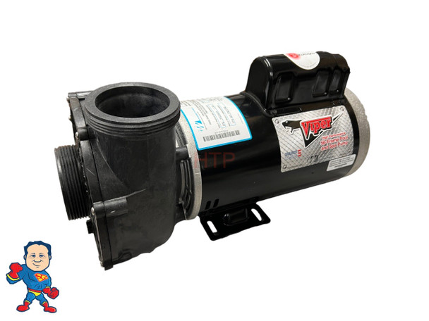 Pump, Waterway Viper, 5.0hp, 230v, 2-spd, 56fr, 2-1/2" x 2-1/2"", OEM