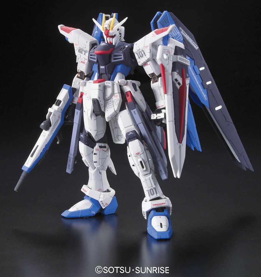 005 Freedom Gundam (RG) - Hobbyholics