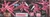 #043 Arche Gundam (HG 00)