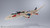 YF-19 Excalibur {Isamu Alva Dyson Use} [Macross Plus] (DX Chogokin)