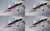 YF-19 Excalibur {Isamu Alva Dyson Use} [Macross Plus] (DX Chogokin)