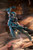 figma Bio-Booster Armor Guyver Guyver I: Ultimate Edition (Max Factory)  **PRE-ORDER**