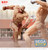 GigantiX Reiner Braun Armored Titan Ver. [Attack on Titan] (SEGA)  **PRE-ORDER**