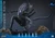 Alien Warrior Deluxe Ver. MMS899 1/6 Scale Figure [Alien] (Hot Toys)  **PRE-ORDER**