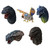 Godzilla Monster Head Magnet <Box/6> {Zero's Heartbeat} [Godzilla]  (Ichibansho Zakka)  **PRE-ORDER**
