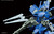 #003 McGillis' Schwalbe Graze (HG IBO) #003 McGillis' Schwalbe Graze (HG IBO)