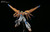 #047 Scramble Gundam (HGBF)