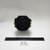 FTSR Bi-rotational Hydraulic Gear Motor, 3000 RPM, 3000 PSI, 20 cc Displacement, SAE-B 7/8"-13T Shaft