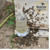 BeeLine Essentials BF-17 Boardman Entrance Feeder