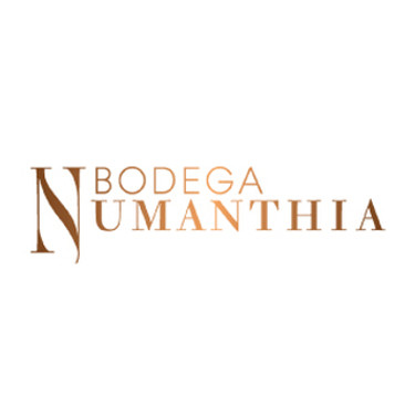 Bodega Numanthia