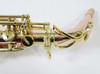 TREVOR JAMES SR ALTO SAXOPHONE - BRONZE BODY (374SR-ZK) 3