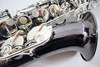 TREVOR JAMES 25TH ANNIVERSARY LTD ED ALTO SAX - REFURBISHED 19