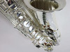 TREVOR JAMES SR ALTO SAX OUTFIT - SILVER (374SR-SS) 10