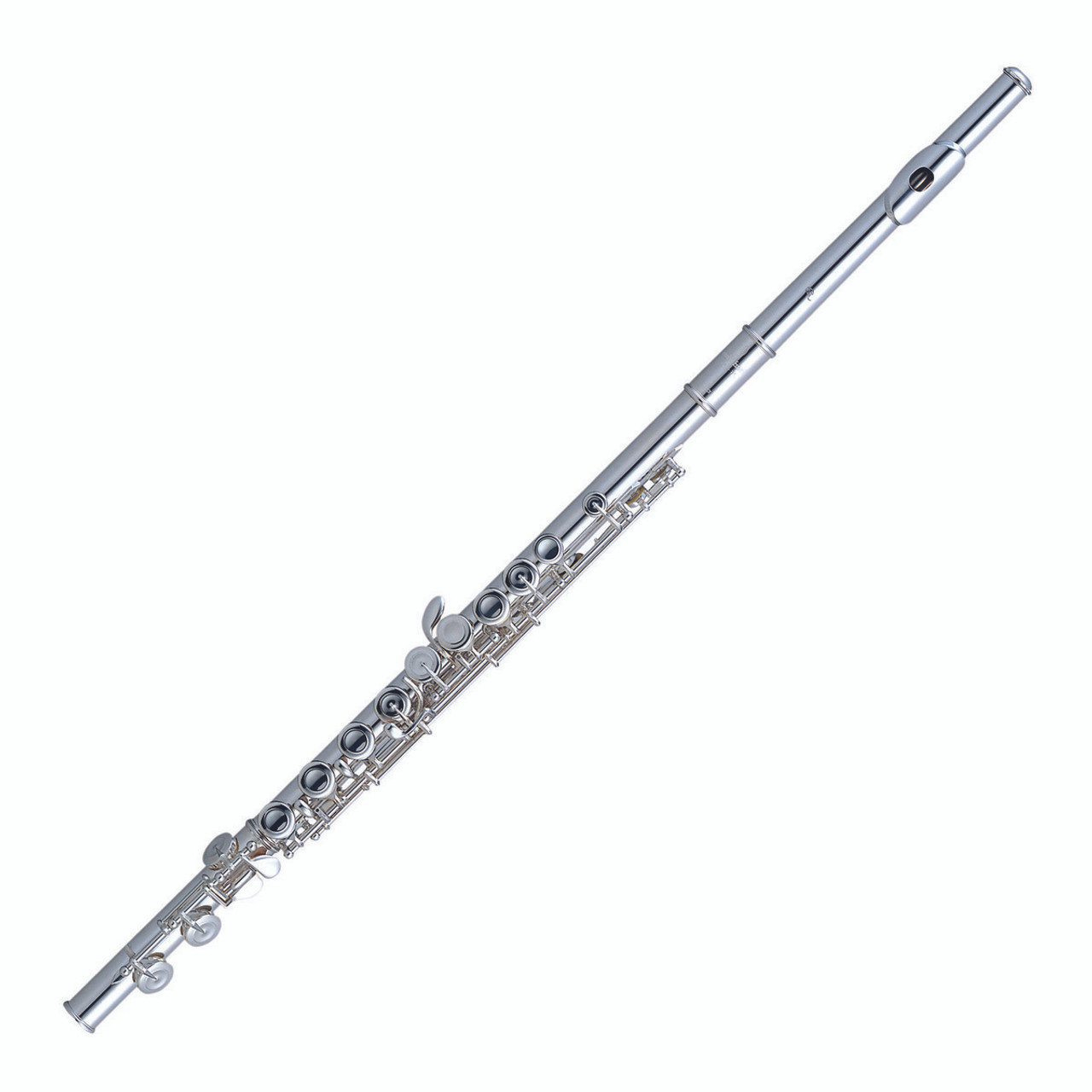 New flutes shop for sale