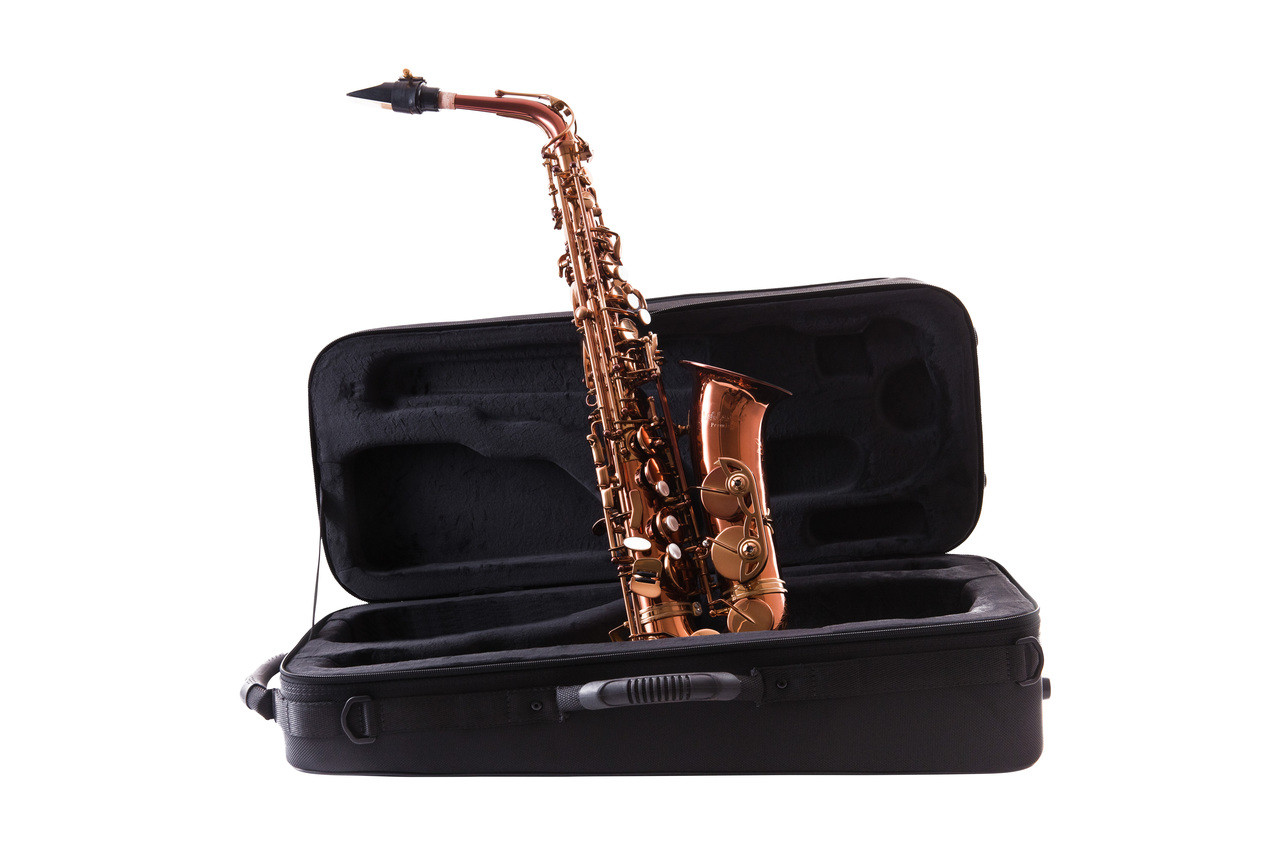 LEBLANC LAS711DL PREMIERE ALTO SAXOPHONE - Curly Woodwind