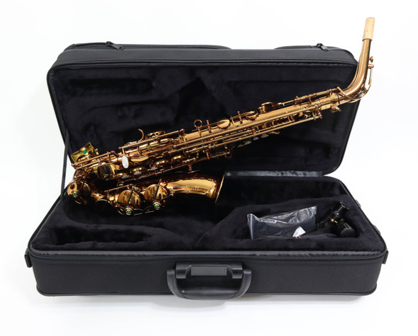 LUPIFARO EVO "DARK" GOLD ALTO SAXOPHONE 2