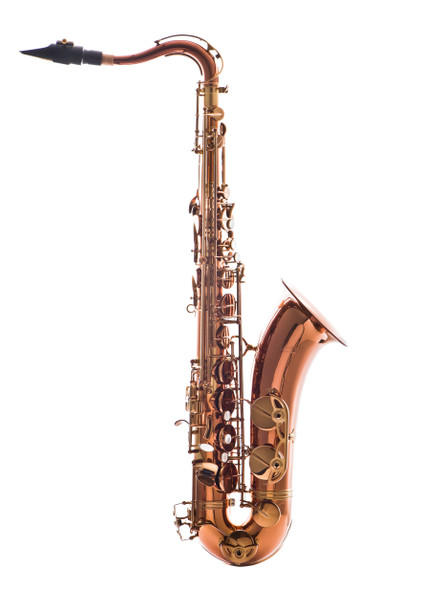 LEBLANC LAS711DL PREMIERE ALTO SAXOPHONE - Curly Woodwind