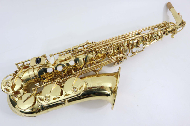 TREVOR JAMES 'THE HORN' ALTO SAXOPHONE - NEW 1