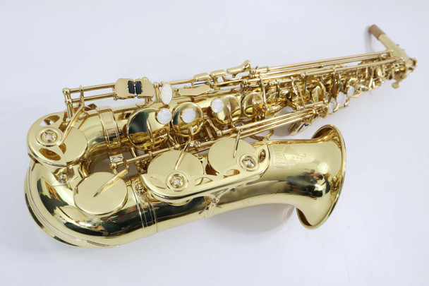 TREVOR JAMES 'THE HORN' ALTO SAXOPHONE - NEW 2