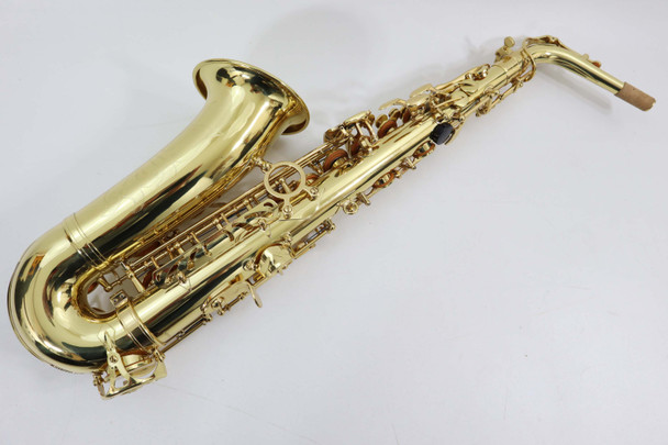 TREVOR JAMES 'THE HORN' ALTO SAXOPHONE - NEW 7