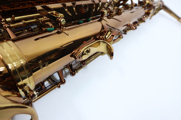 LUPIFARO EVO "DARK" GOLD ALTO SAXOPHONE 8