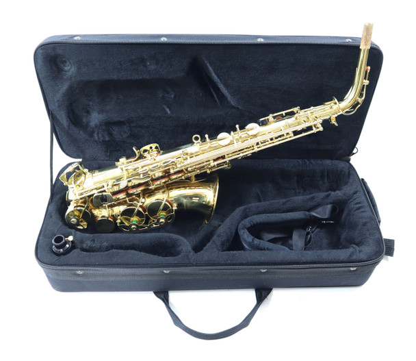 ELKHART 100AS ALTO SAX - REFURBISHED
