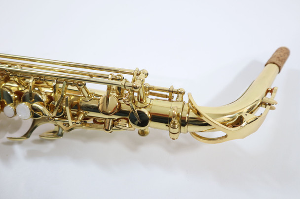 ELKHART SERIES II ALTO SAX REFURBISHED (064372) 4