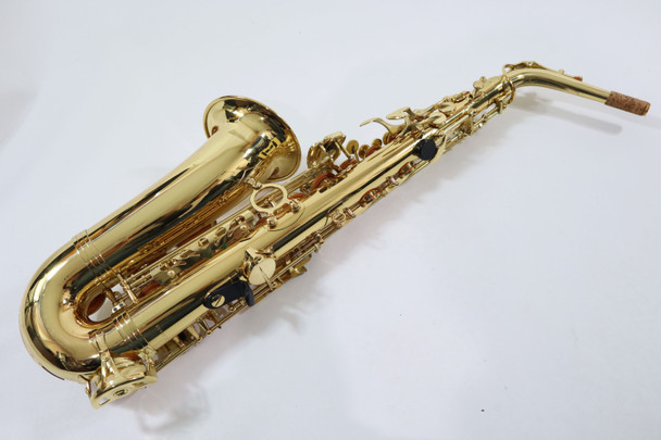 ELKHART SERIES II ALTO SAX REFURBISHED (064372) 6