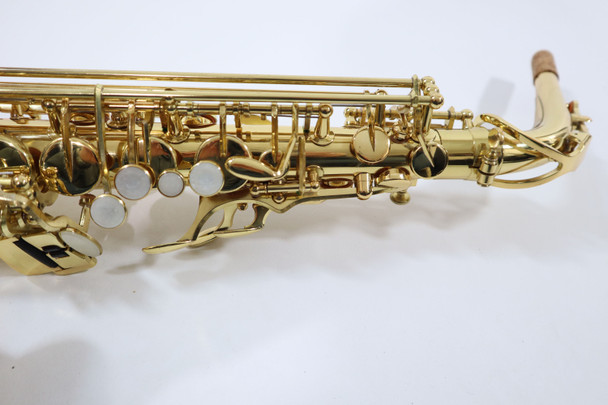 ELKHART SERIES II ALTO SAX REFURBISHED (064372) 7