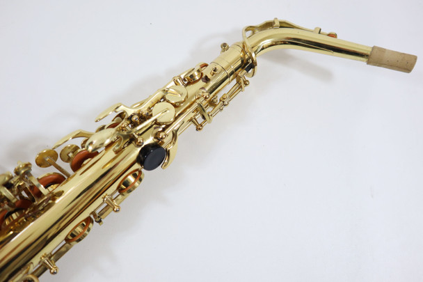 TREVOR JAMES CLASSIC ALTO SAX - REFURBISHED 4