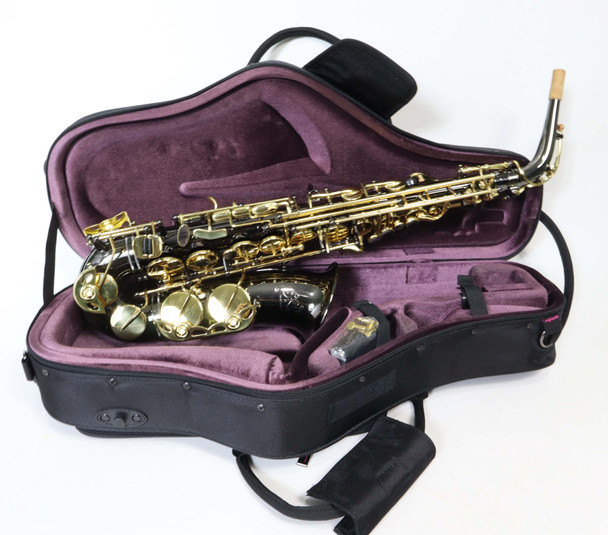 TREVOR JAMES SR ALTO SAX OUTFIT - BLACK/ GOLD (374SR-BK)