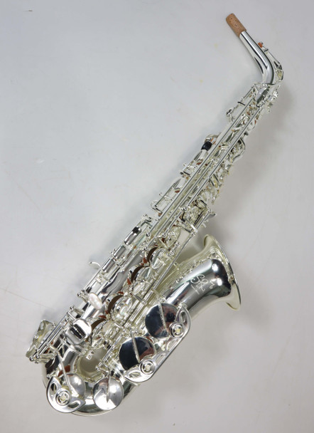 TREVOR JAMES SR ALTO SAX OUTFIT - SILVER (374SR-SS) 5