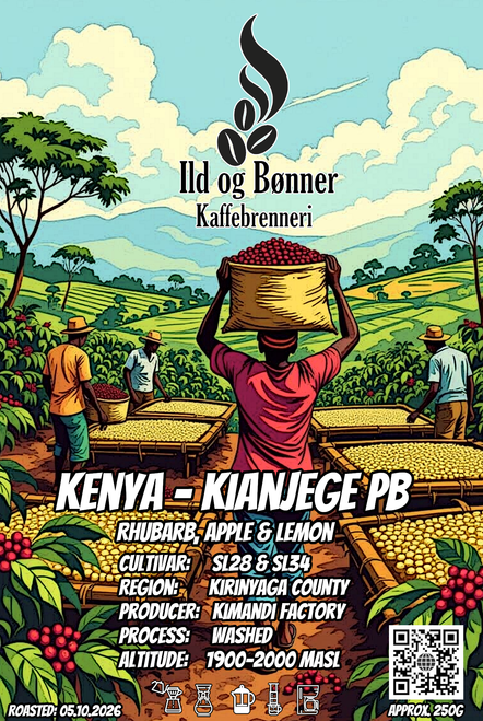 Kianjege PB - Kenya - 250g