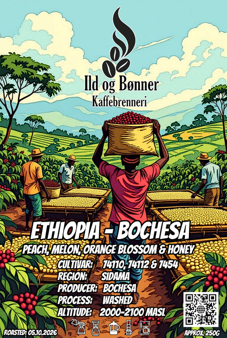 Bochesa - Ethiopia - 250g