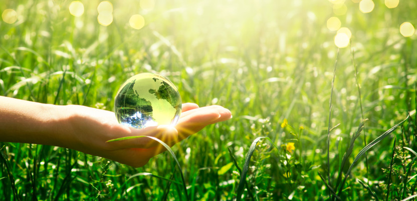 ​8 Benefits of Using Eco-Friendly Products in Your Home