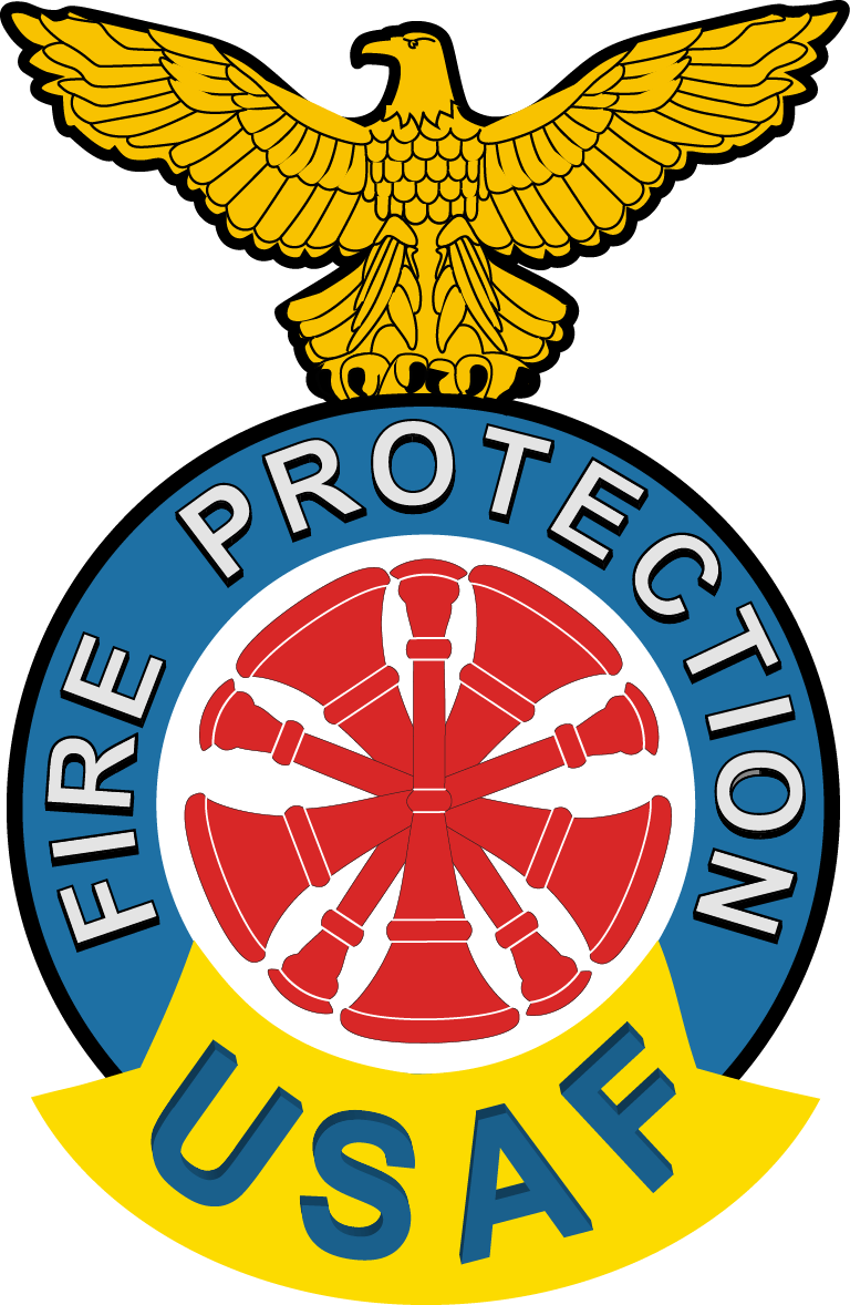 USAF P-2 Shirt