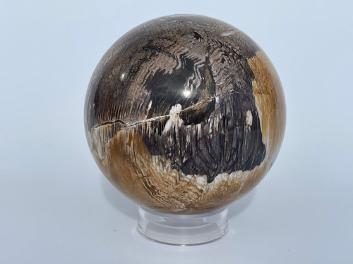 Petrified Wood sphere