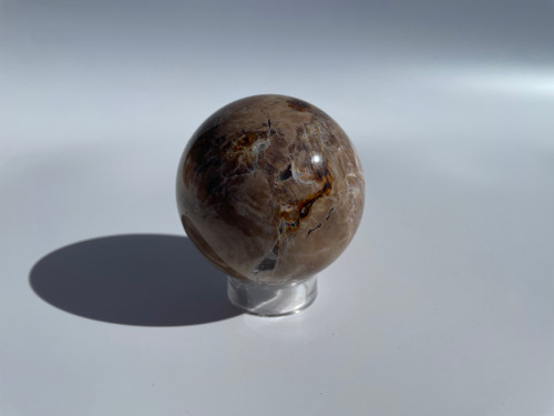 Petrified Wood Sphere