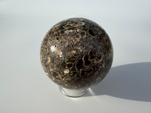 Turretilla Sphere