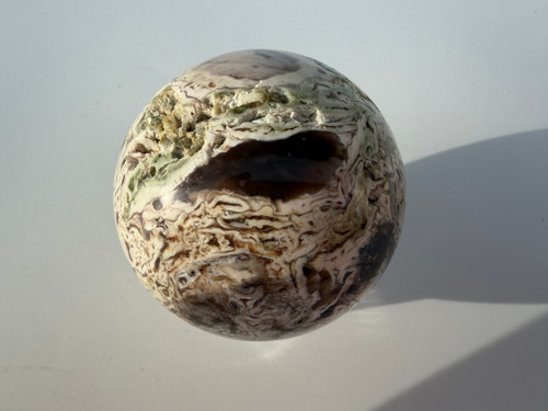 Opalized Bogwood #0455