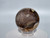 Saddle Mountain Petrified Wood sphere