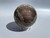 Opalized Bog wood sphere