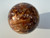Petrified Wood sphere