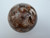 Jackpot Petrified Wood Sphere