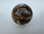 Orbicular Jasper